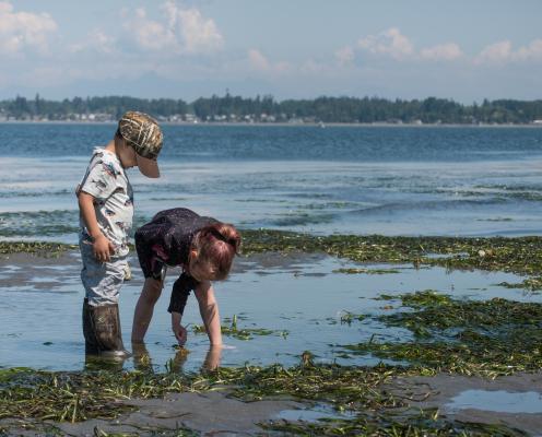 Children playing on the beach during low tide