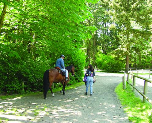 Bridle Trails State Park Horse Rider and Walker