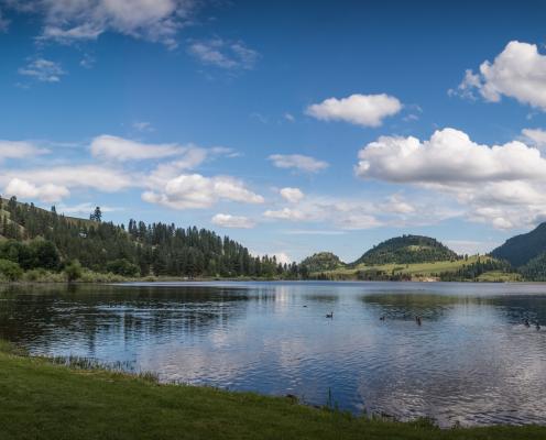 A view from the edge of a lake with ducks swimming in the water and trees and hills in the background