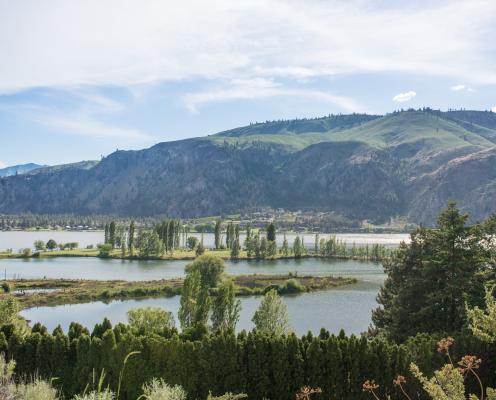 The Columbia River flows beyond trees with a tall mountain rising in the background.