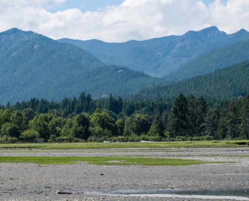 The mountain range surrounding Dosewallips State Park.