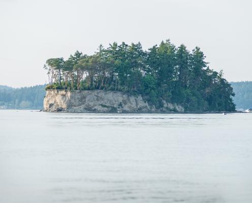 Cutts Island water view pudget sound salt water