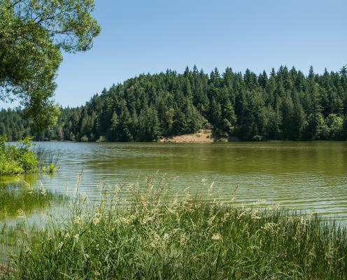 Anderson Lake State Park.