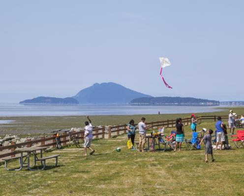 A group of kids and adults on a grassy lawn, lined with a wooden fence, prepare to fly kites in the wind. One kite is flying with a white cover and pink tail. The low tide water and islands are in the background.