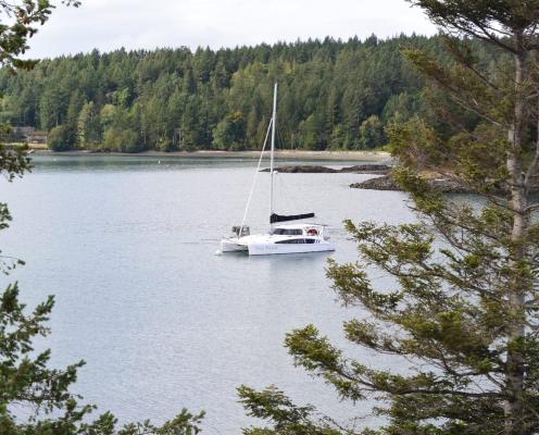 A boat moored off the shore of Blind Island State Park, an island in the San Juans. The white boat can be seen through the branches of two evergreen trees on the island.