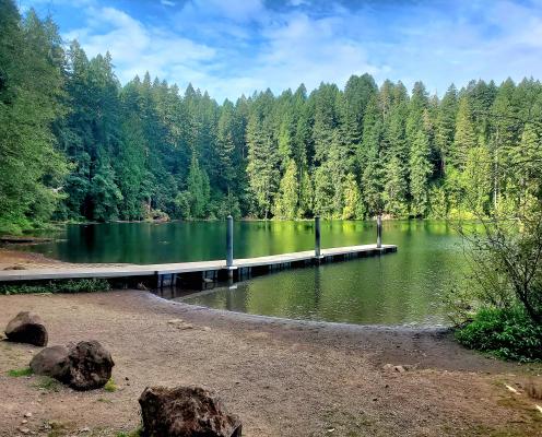 Dock protruding out into lake with rocks on shore in the foreground and pine trees and blue skies in the distance.