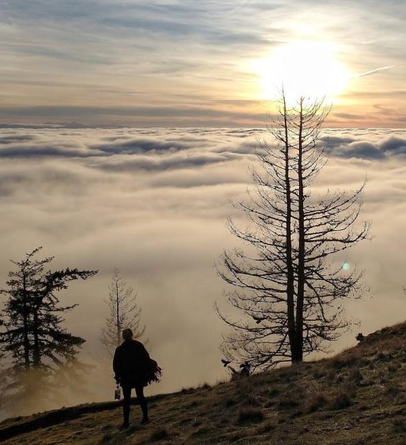 A person watches the sunrise over the clouds from a mountain