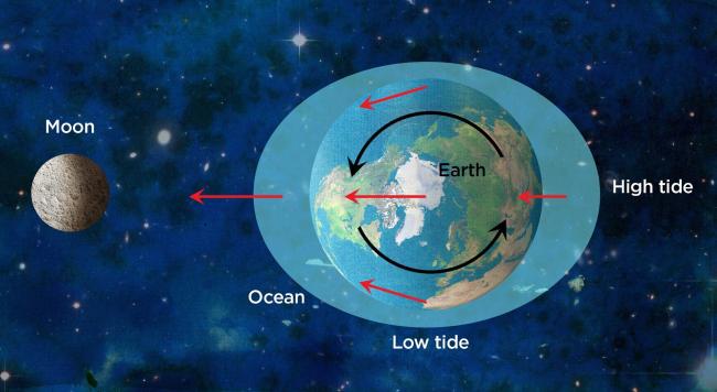 Graphic showing the gravitational pull of the moon affecting high and low tide