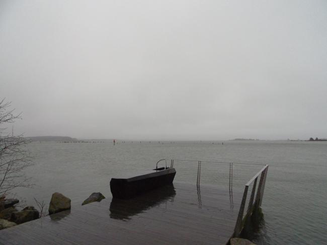 Grey day with fog and a view of a large expanse of water