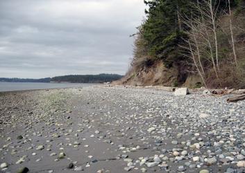 Rocky beach at Kinney Point State Park Property. The beach stretches the foreground of the photo with the water to the left and forested area to the right. The beach is rocky with some driftwood. The forested area has evergreens and leafless deciduous trees visible. 
