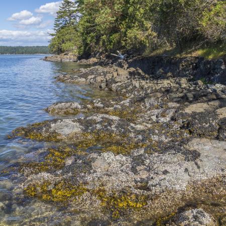 The rocky shoreline of Hope Island State Park.