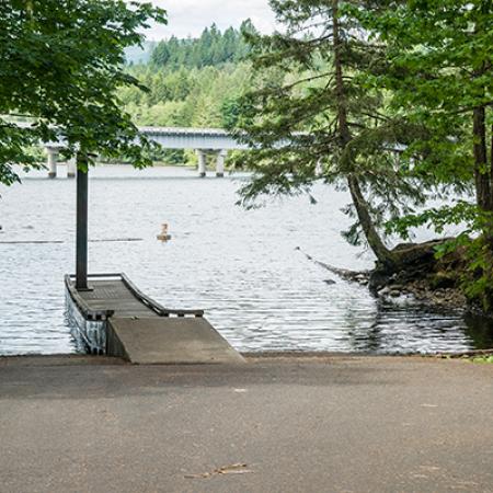 Boat Launch with walk surrounded by large trees