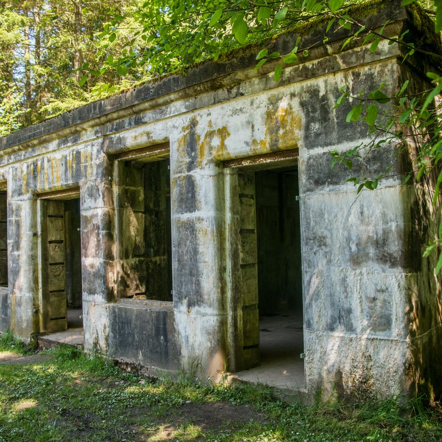 military historical site, casemate, brick building, forest