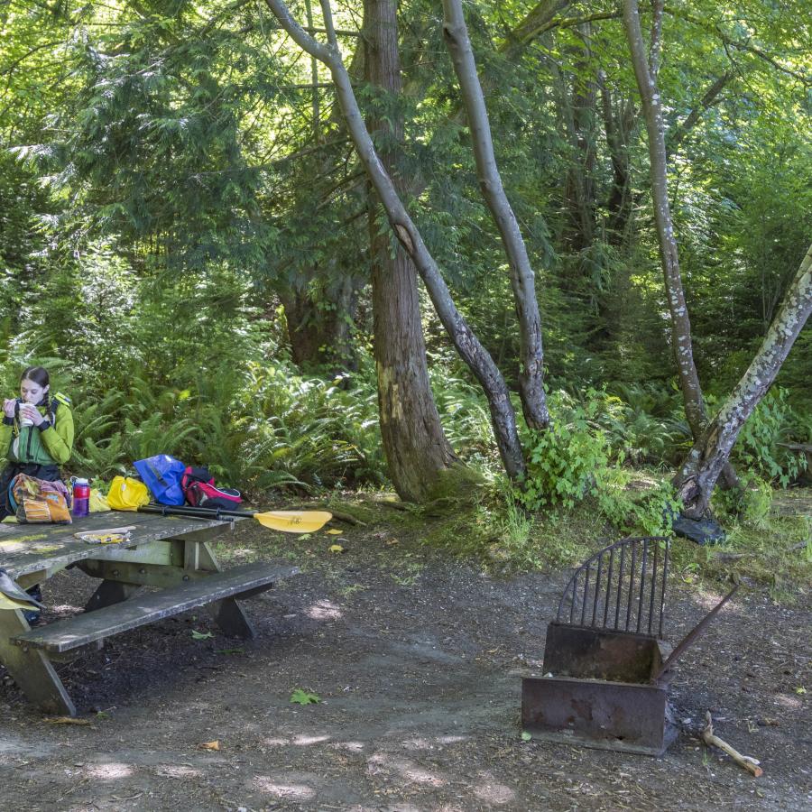 A standard campsite with a picnic table at Hope Island State Park. 