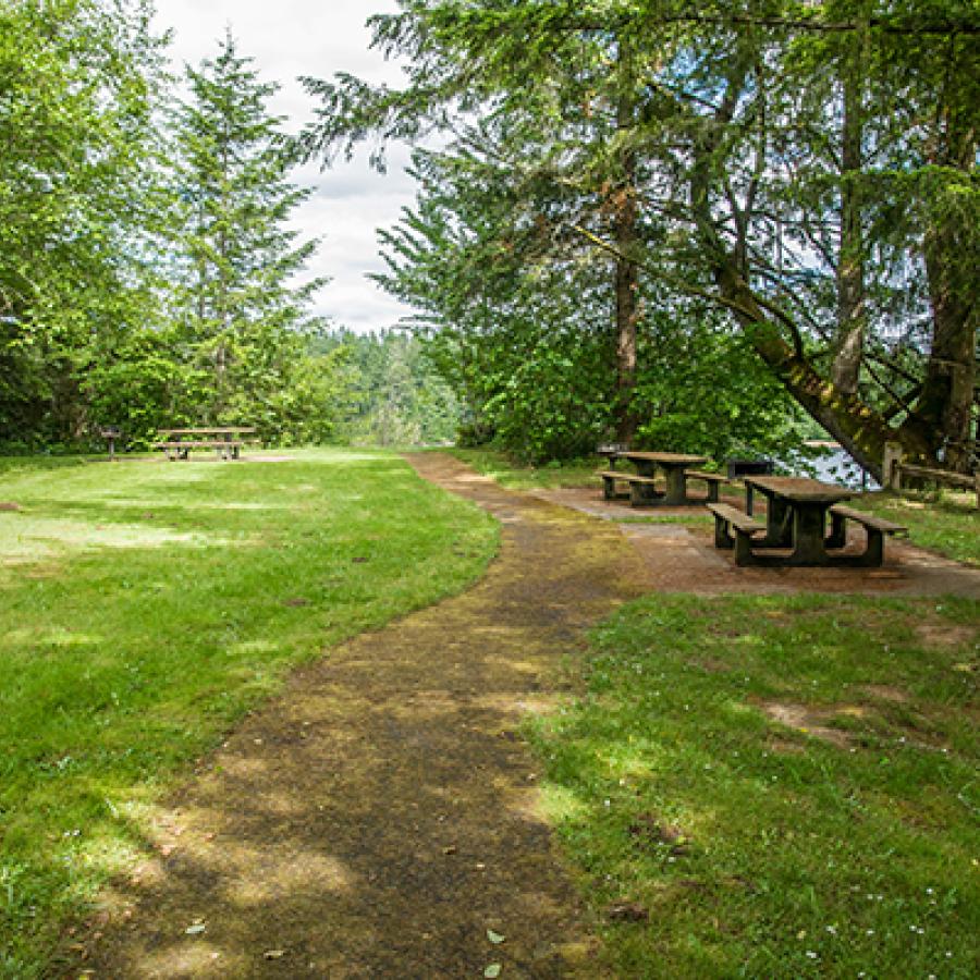 green grassy area with picnic tables and pathway under shade trees