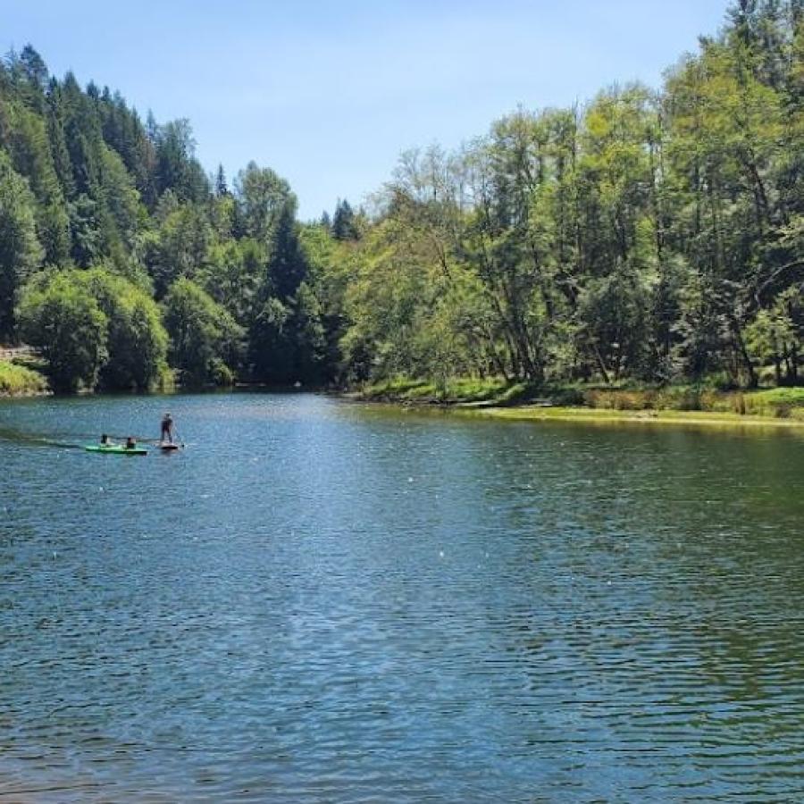 Lush greenery surrounding pristine lake with paddle boarding children