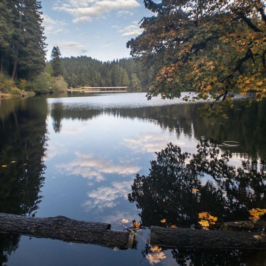 glistening waters of the lake and shoreline reflection