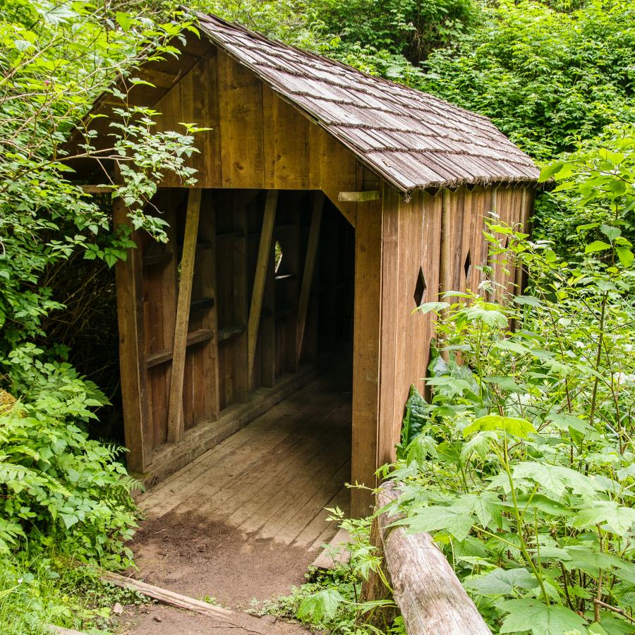 wooden covered footbridge along hiking trail