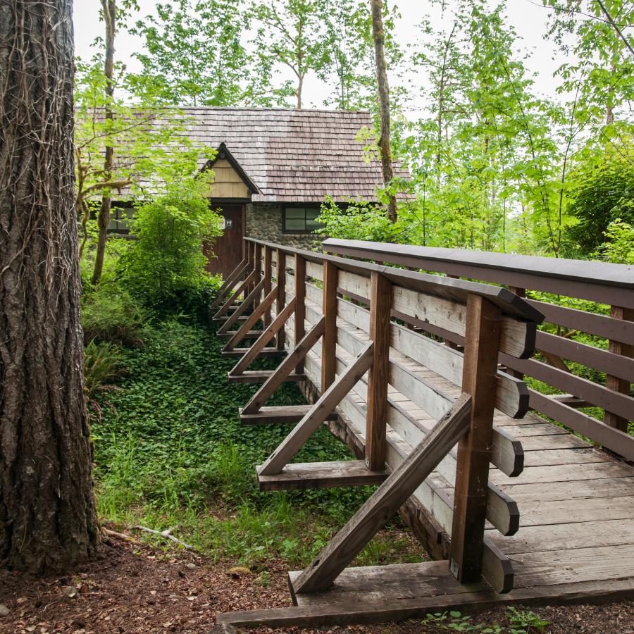 Bridge leading to restrooms. The bridge is wooden and a light brown with 5 horizontal boards along the side. The restroom building in the background has wooden shingles and appears to be made of stone. There are trees visible near the bridge with lush, green leaves. The undergrowth is also green.