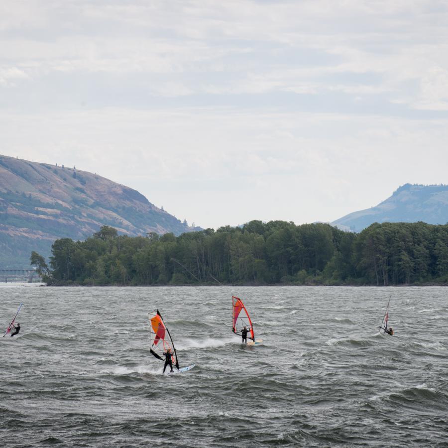 Fours windsurfers out on the windy waters.