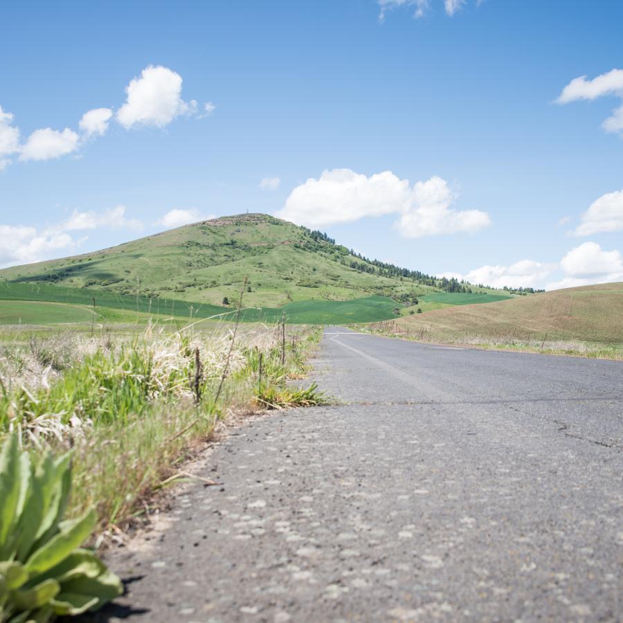 View of Steptoe Butte from bottom of the road.