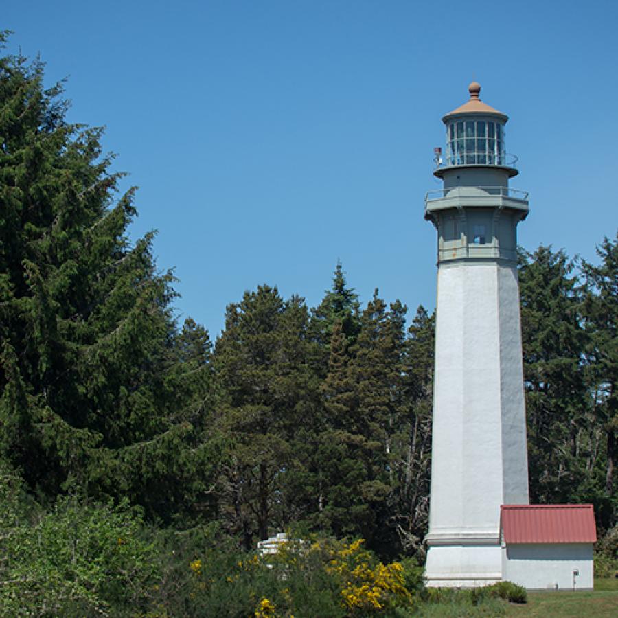 Westport Lighthouse surrounded by trees.