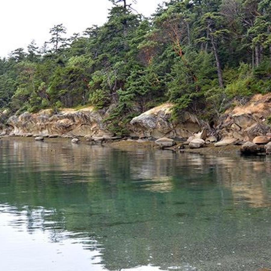 The foreground shows the water surrounding the island with a green hue that is likely due to the reflection of the green trees along the rocky outcropping of the shoreline. The trees are dense and the orangish-brown rock outcroppings serve as immediate boundaries for the forest against the water. The outcroppings are steep, with a nearly vertical ledge. There are some visible tocks and driftwood along a small unsubmerged portion of shoreline below the rock outcroppings.