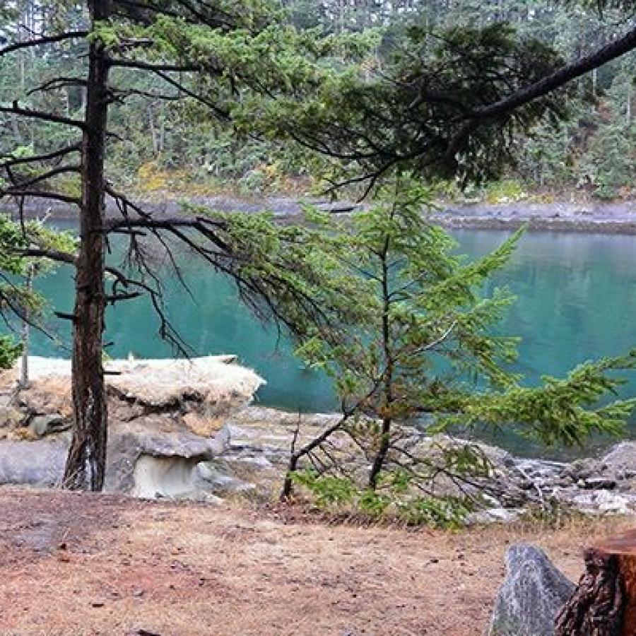 Turquoise blue water is visible in the midground of this photo framed by rocky shoreline, trees, and what appears to be a trail in the foreground and the rocky shoreline and forested strip in the background.
