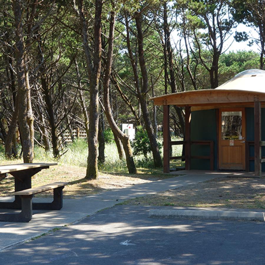 Grayland Beach yurt camping trees on ocean coast