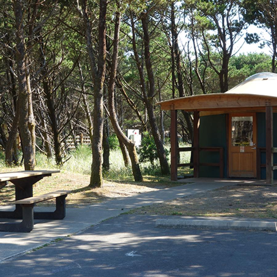 Grayland Beach yurt camping trees on ocean coast 