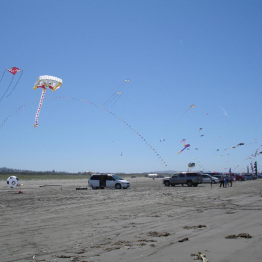 Grayland Beach kite flying driving on beach