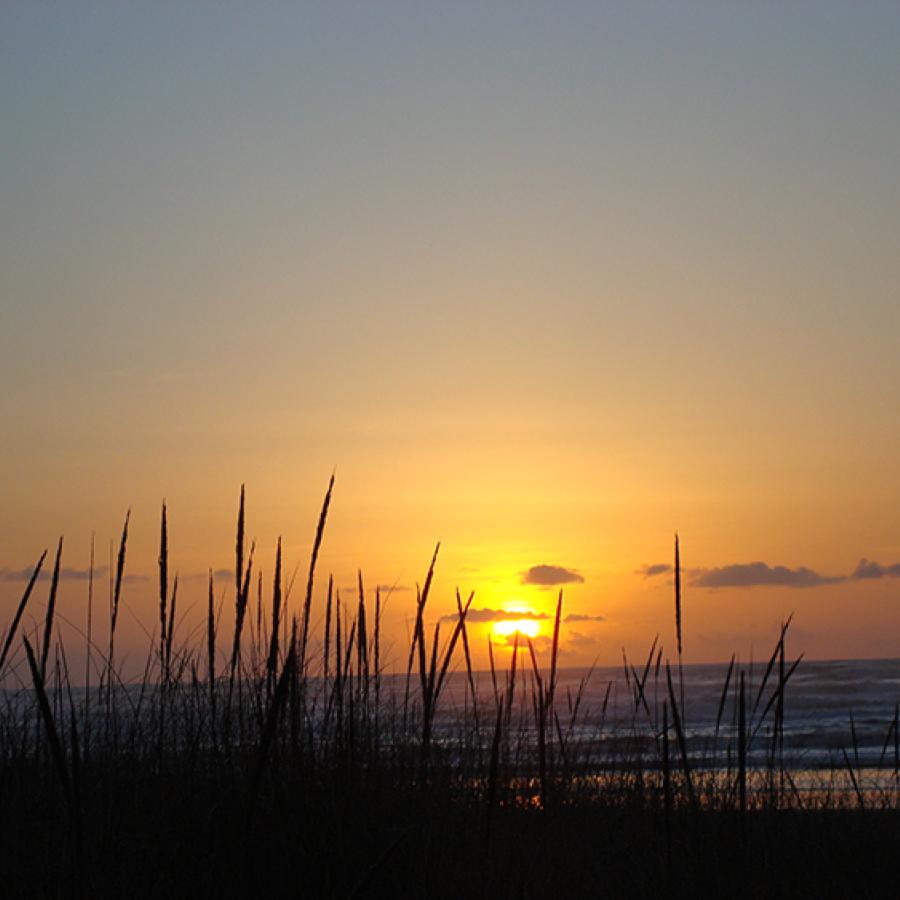 Grayland Beach sunset over grassy dunes ocean view