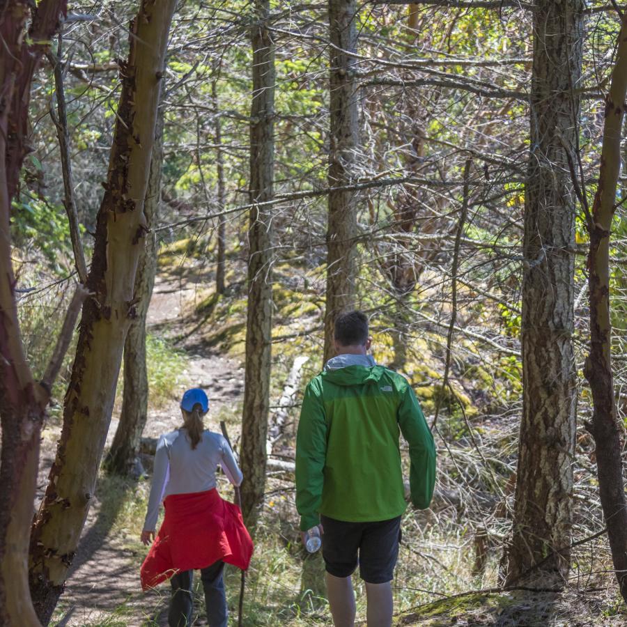 Two hikers walk the trail through bare trees. The lead hiker has a hiking stick and wearing a blue hat, white long sleeve shirt and dark pants, a red jacket is tied around their waist. The second hiker has short hair and wearing a green jacket with dark shorts, carrying a water bottle.