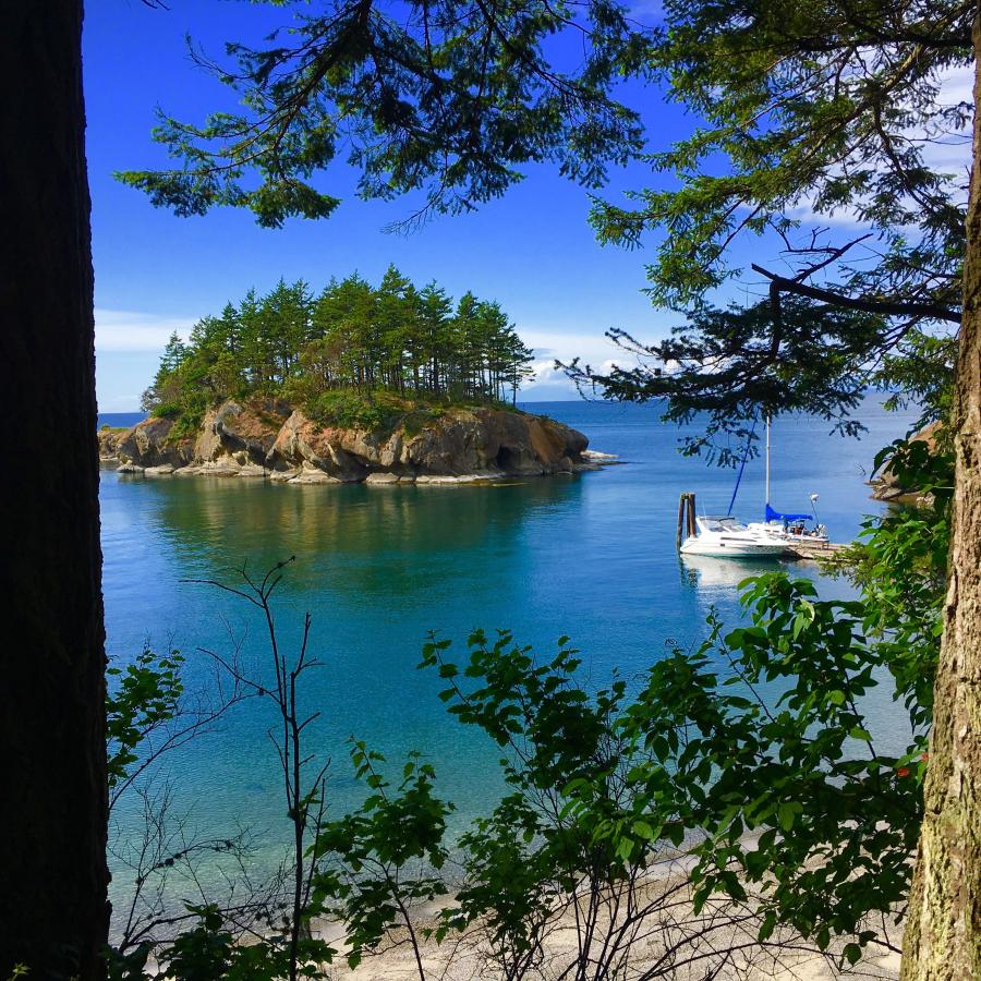 Viewing through tall pines blue waters an island with boat moored close by