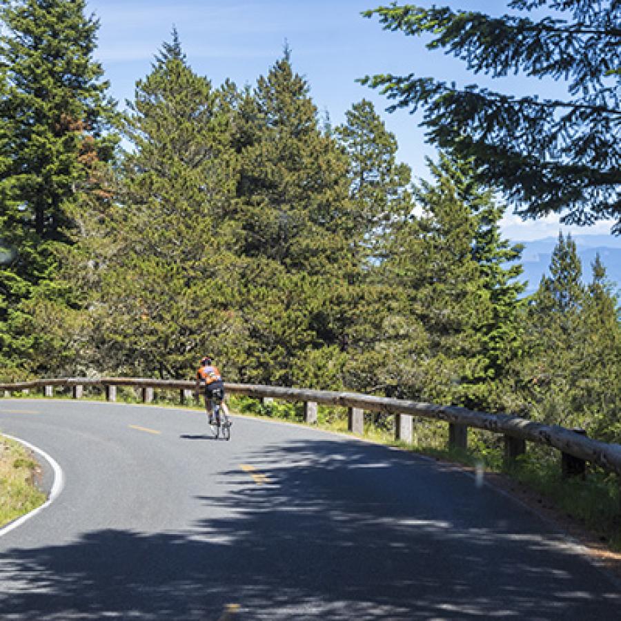 windy road with road cyclist taking a curve