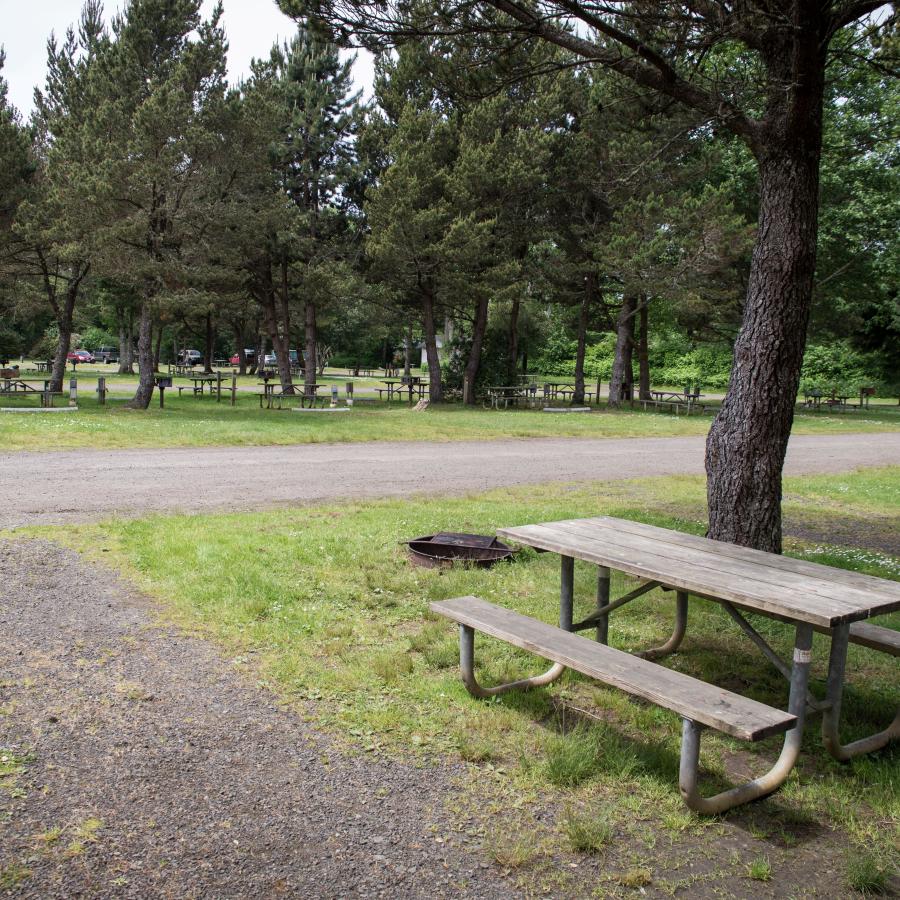 Twin Harbors camping area grassy fields and trees