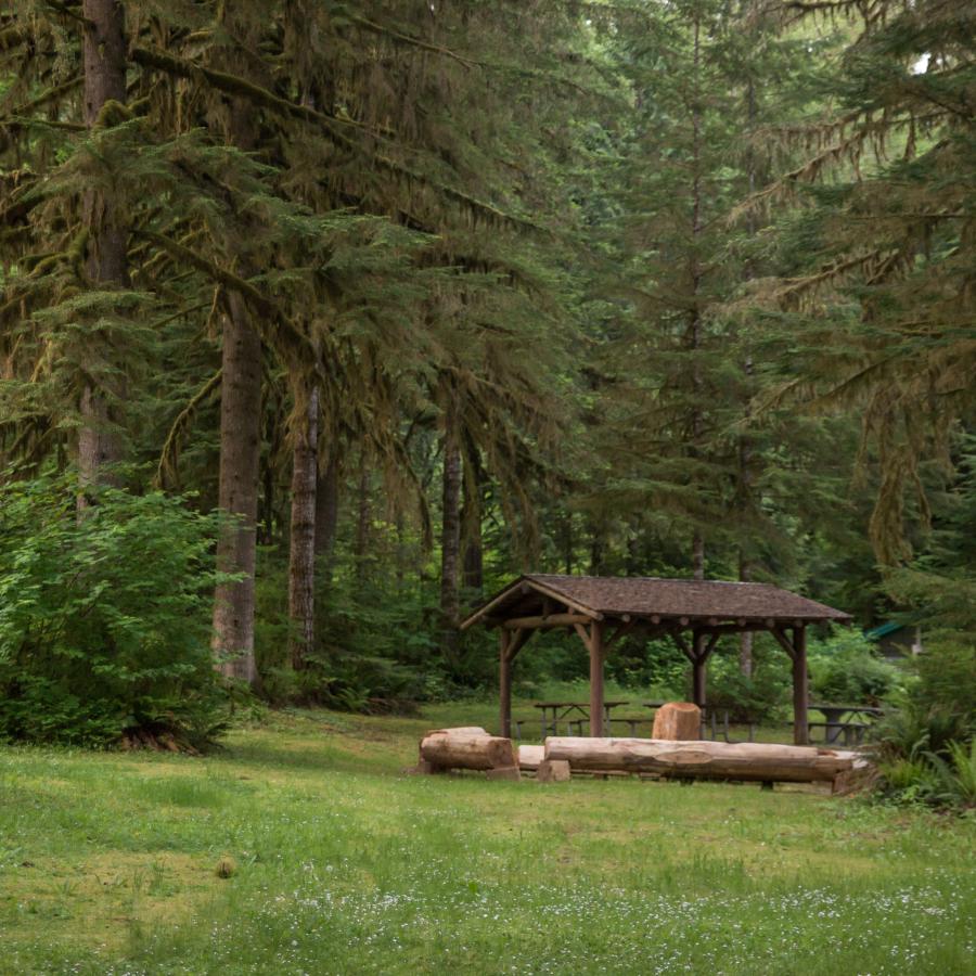 Open-sided picnic shelter with three picnic tables and some log benches. The area around the shelter is mowed with some visible white flowers and set against a background of lush green trees. 