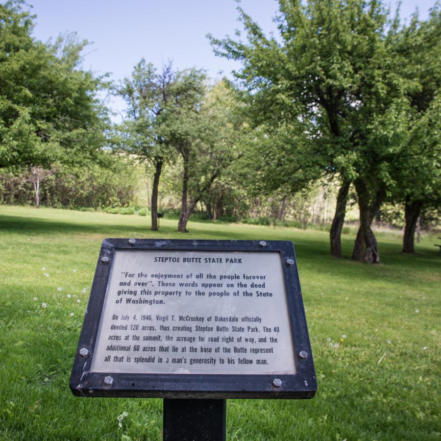 An interpretive sign sits in a grassy lawn with full, green trees and shrubs in the background. A picnic table sits alone under a tree.