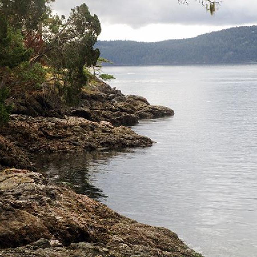 Looking over a boulder shoreline with grey waters on the right. Green leafy trees hang over the rocks.