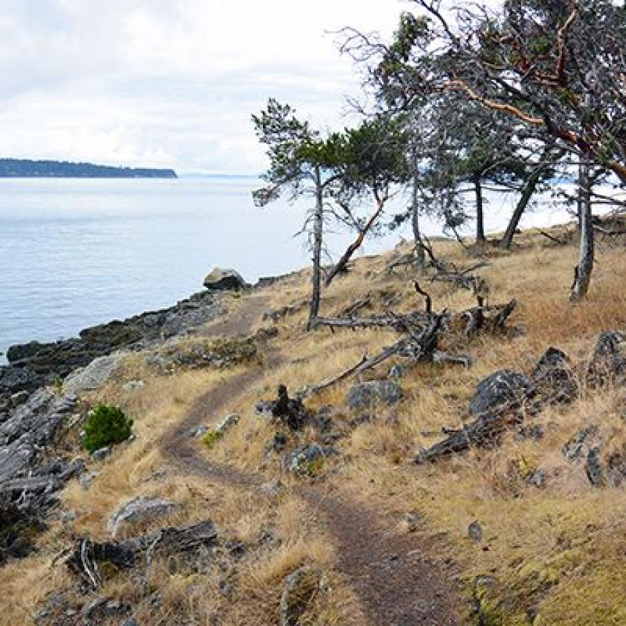 A dirt trail cuts through brown grass with rocks poking through the grass. Large woody debris and rocks lead to grey waters on the left with trees lining the right side of the trail.