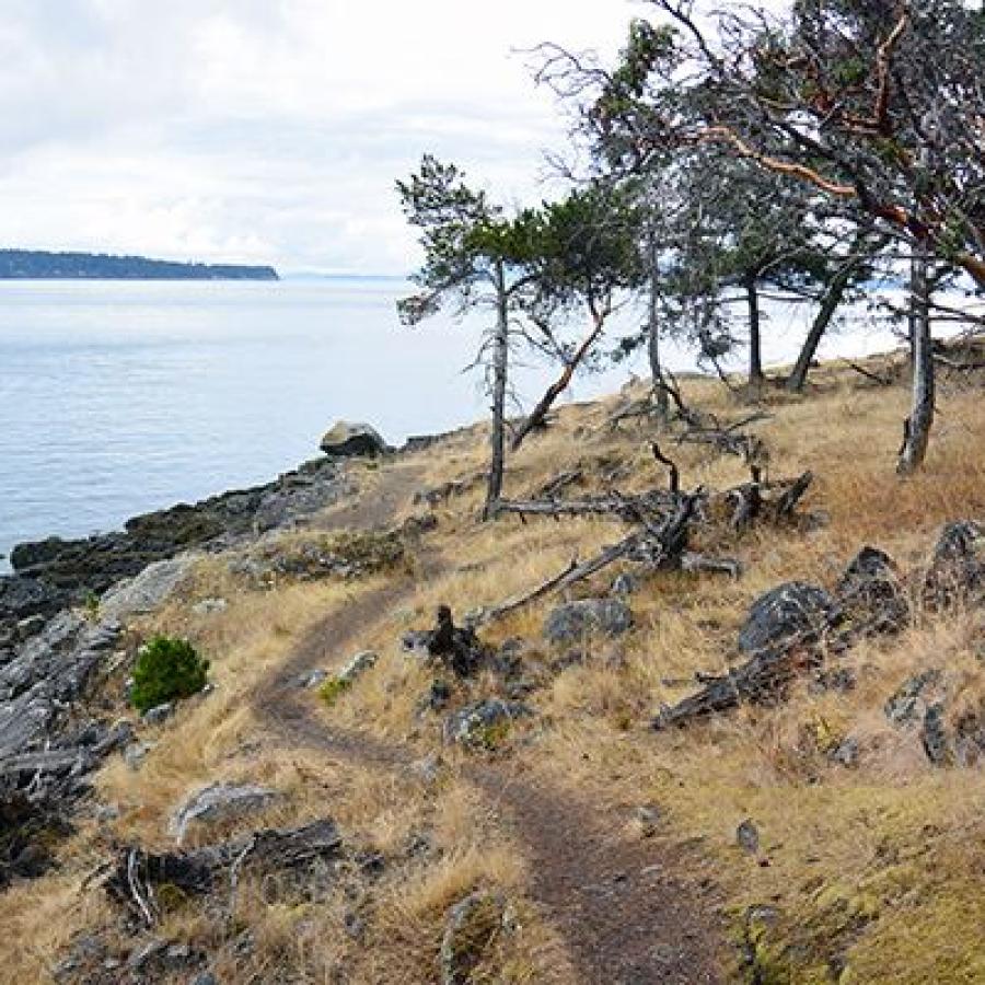 A dirt trail cuts through brown grass with rocks poking through the grass. Large woody debris and rocks lead to grey waters on the left with trees lining the right side of the trail. 