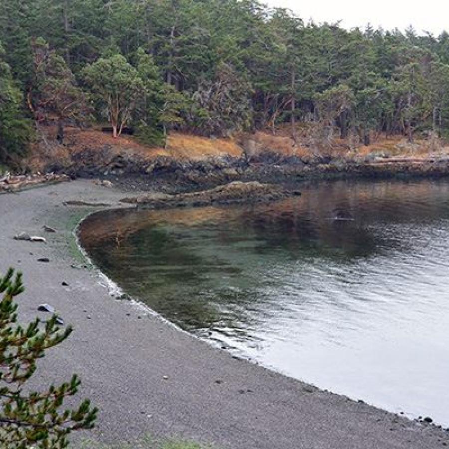 Looking over a pebble beach at an inlet with green leafy trees in the background.