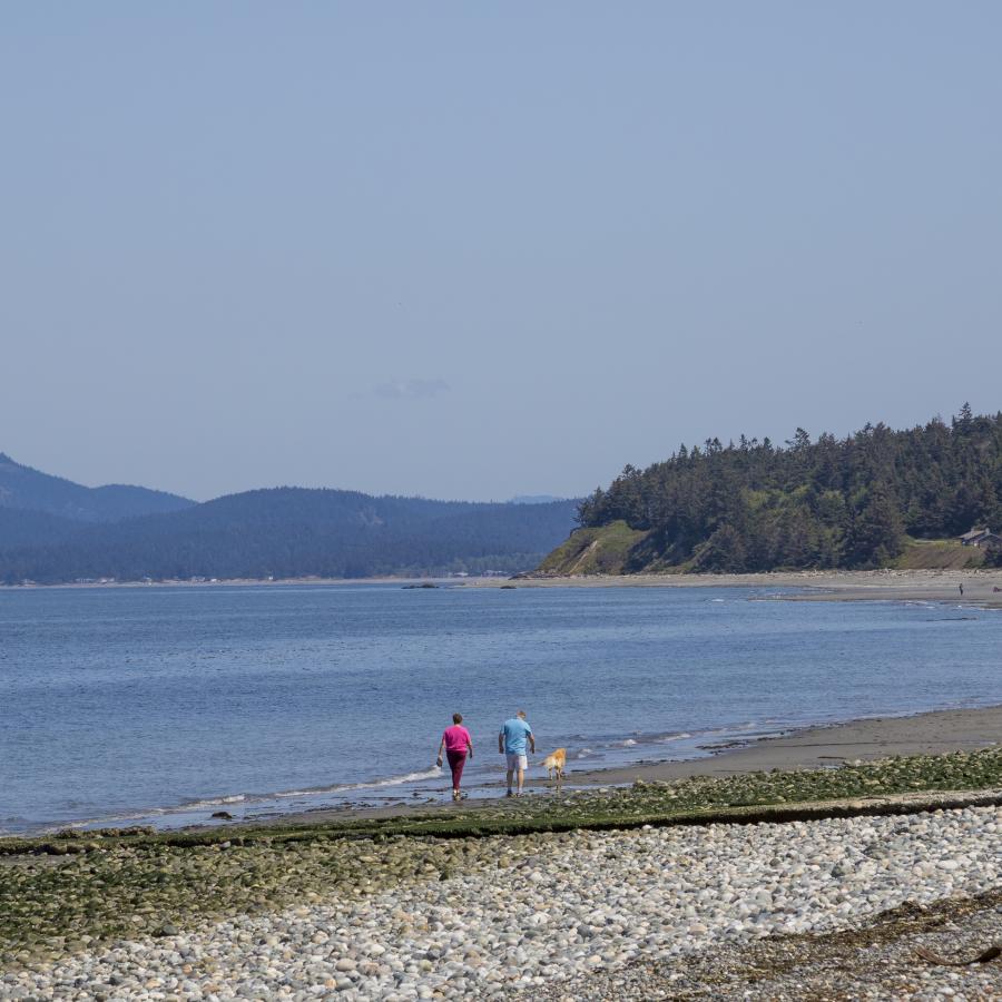 A couple walk a dog along the sandy beach with treed hills and a blue sky in the background.
