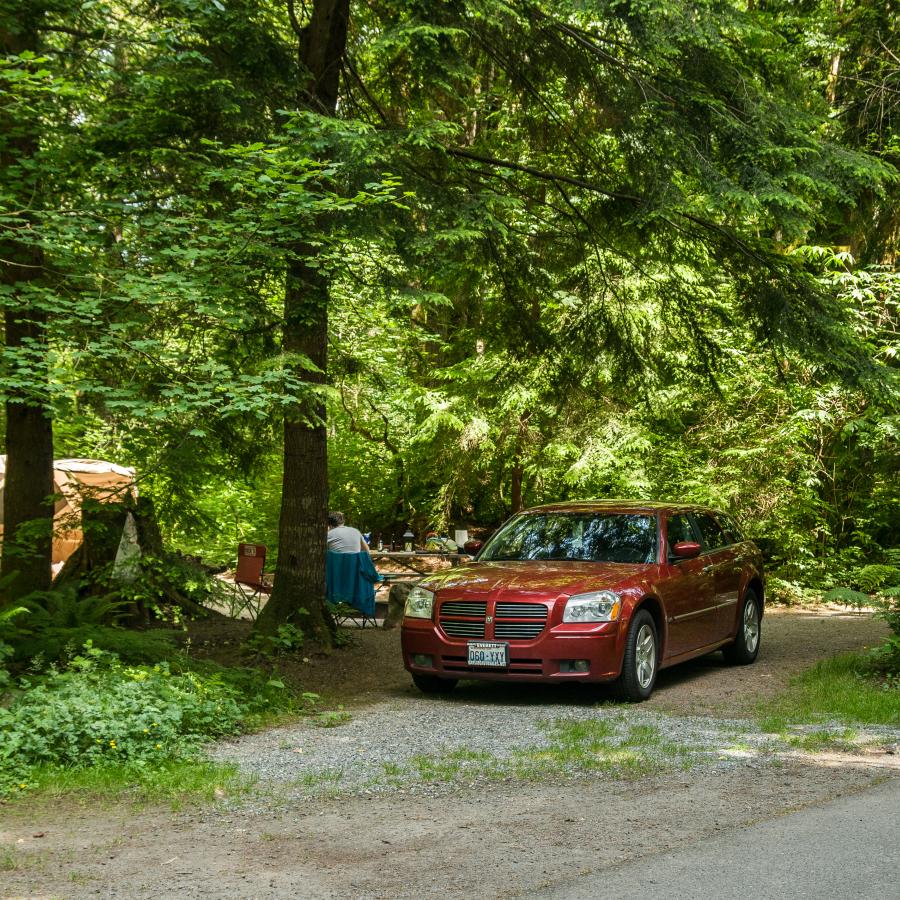 A campsite sites in between evergreen trees and shrubs with a red car in the drive. An orange tent is seen through the tree limbs and a person sitting in a camping chair with a blue jacket hanging on the back.