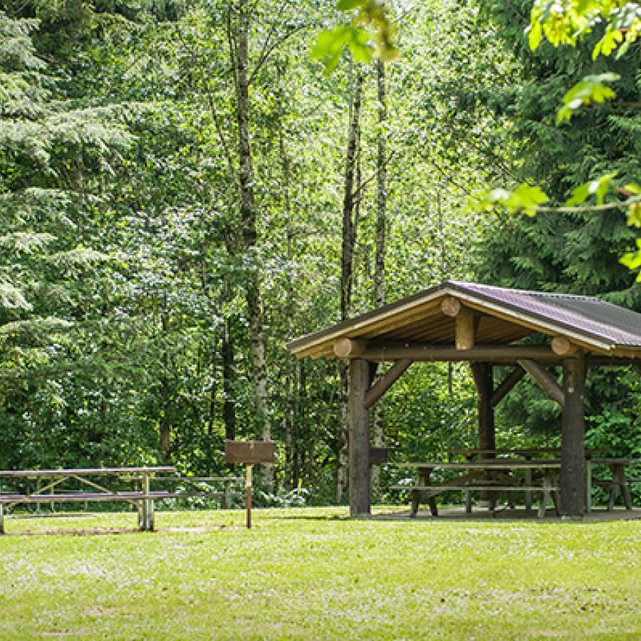 An open log picnic shelter with a brown metal roof sits in a grassy field with picnic tables under and around the shelter. Evergreen trees surround the area.