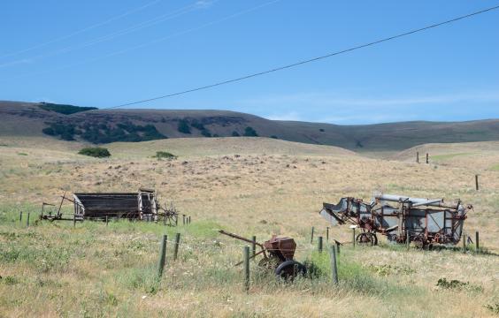 historic rusted farm equipment sitting in a field of grass