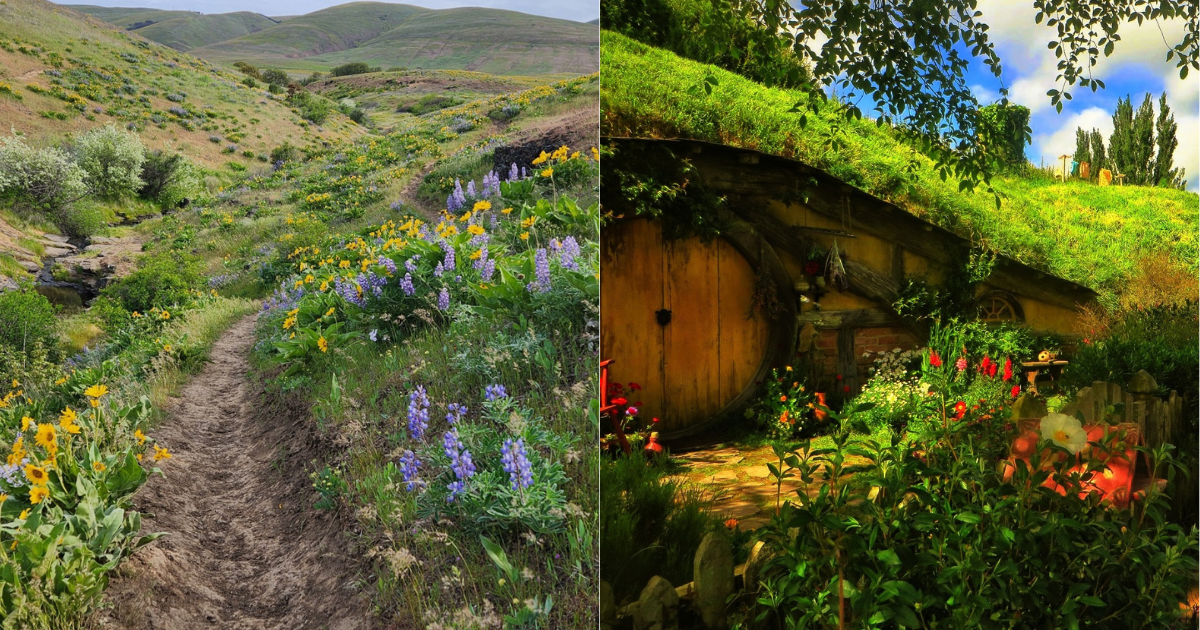 side by side photos of Columbia Hills State Park and The Lord of the Rings' The Shire