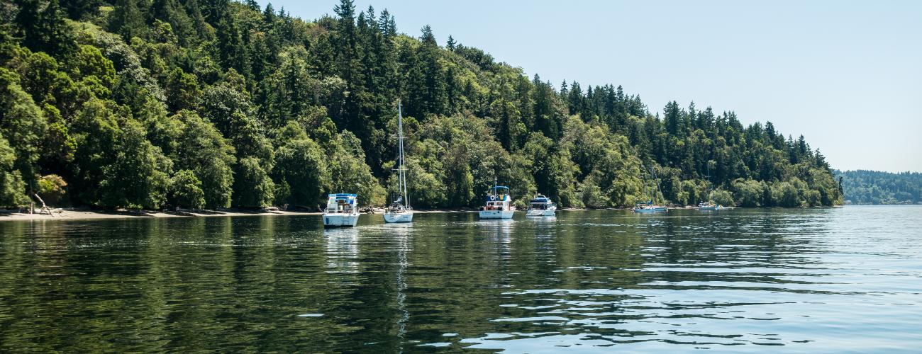 Blake Island shore with buoyed boats, forests, Puget Sound 