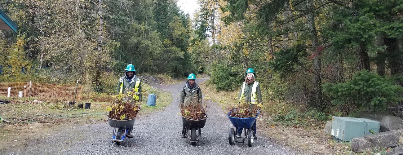 Three people with wheelbarrows on a gravel road surrounded by trees 