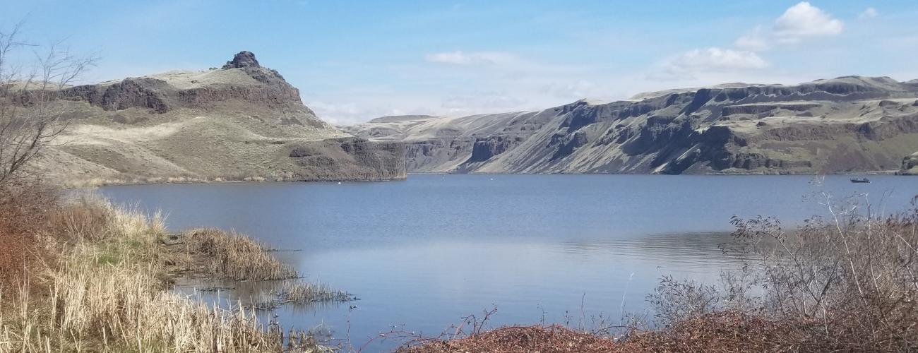 Blue sky and river, red and brown shrubs.